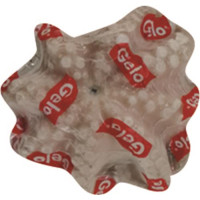 POLPI MAROCCO