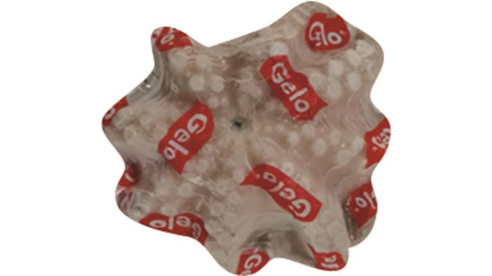 POLPI MAROCCO