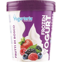 FROZEN YOGURT FRUTTI BOSCO S LATTOSIO
