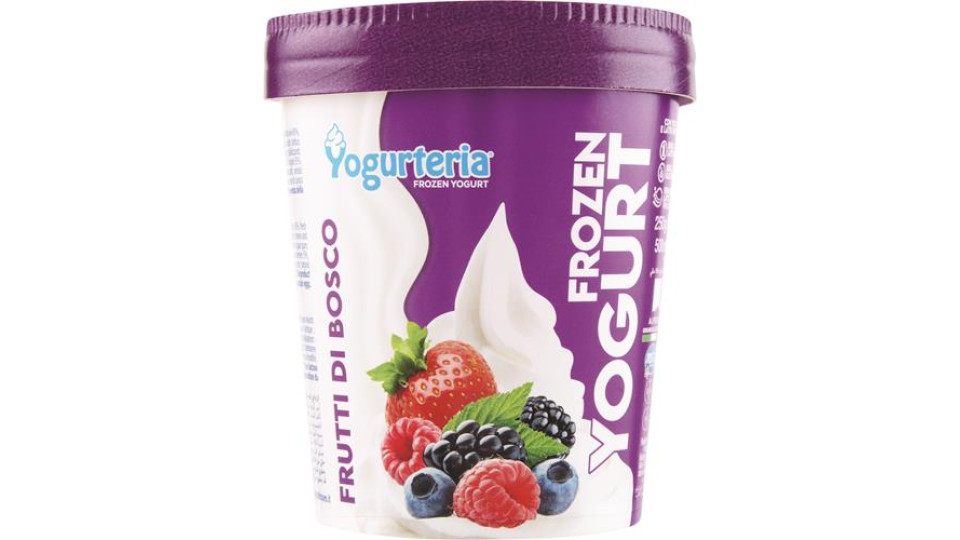 FROZEN YOGURT FRUTTI BOSCO S LATTOSIO