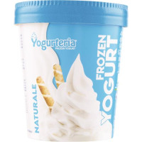 FROZEN YOGURT NATURALE SENZA LATTOSIO