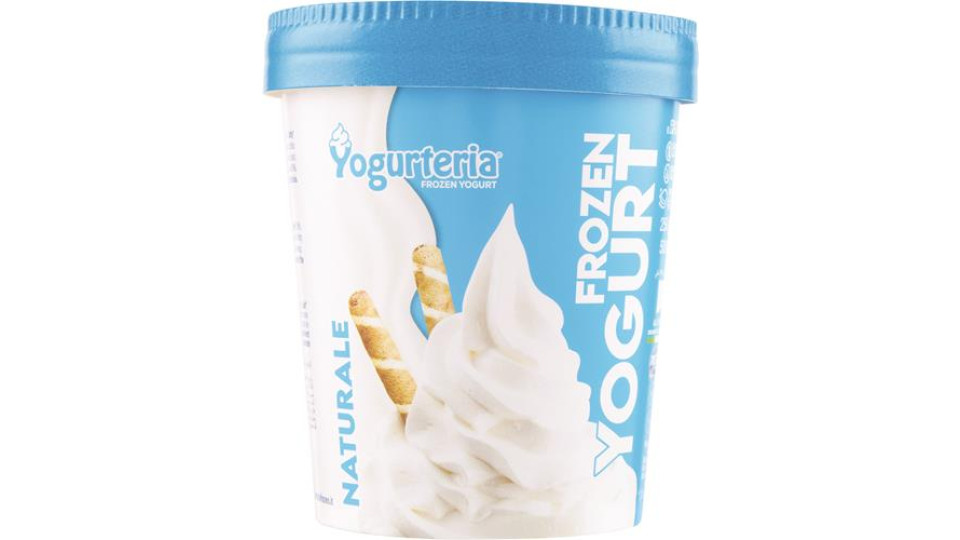 FROZEN YOGURT NATURALE SENZA LATTOSIO