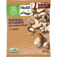 FANTASIA DI FUNGHI