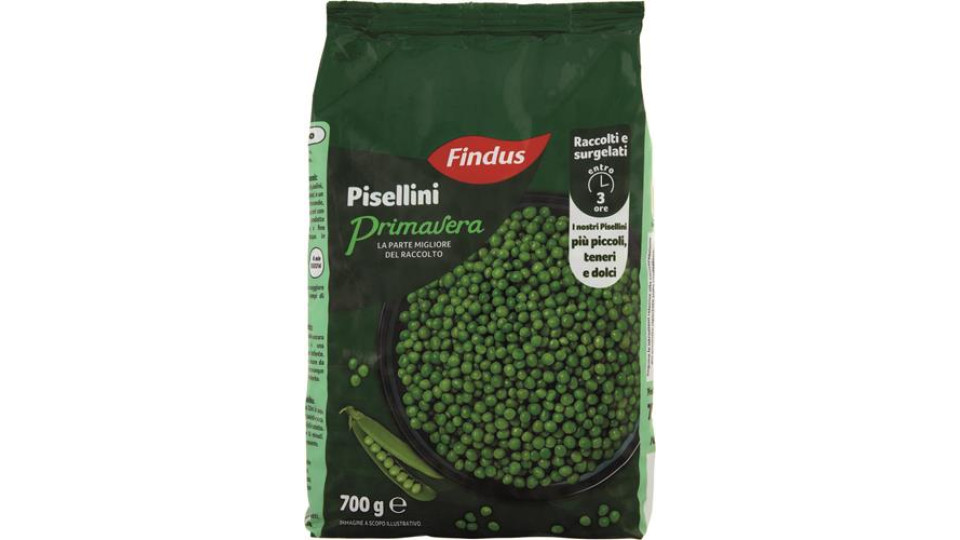 PISELLINI PRIMAVERA