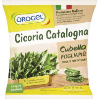 CICORIA FOGLIA PIU'