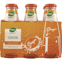 GINGER ORANGE X6