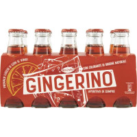 GINGERINO X10