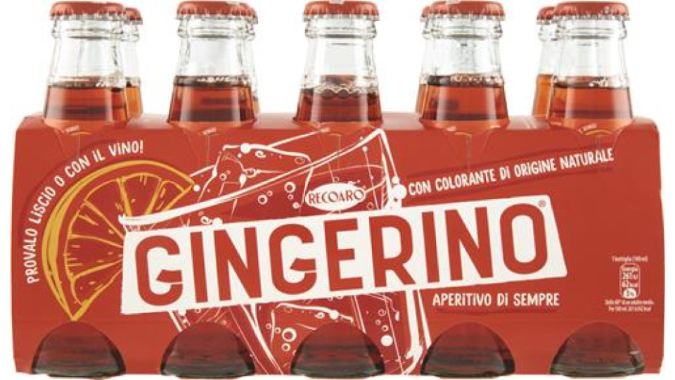 GINGERINO X10