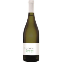 SAUVIGNON