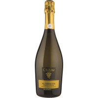 VALDOBBIADENE PROSECCO SPUMANTE DOCG EXTRA DRY MILLESIMATO CILLIUM