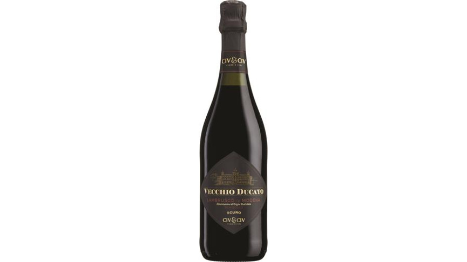 LAMBRUSCO FRIZZANTE SEMI SECCO