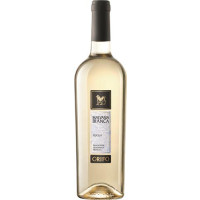 MALVASIA BIANCA PUGLIA GRIFO