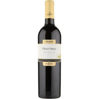 MARZEMINO DOC MASTRI VERNACOLI