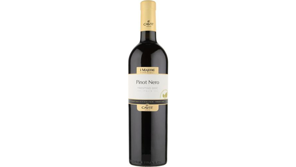 MARZEMINO DOC MASTRI VERNACOLI