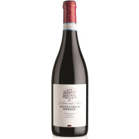 VALPOLICELLA DOC RIPASSO
