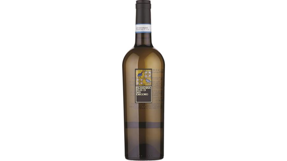 VINO FALANGHINA FEUDI SAN GREGORIO DOC