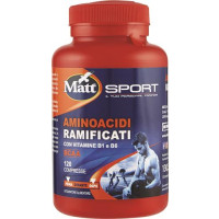 AMINOACIDI RAMIFICATI