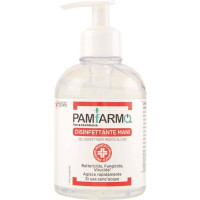 GEL DISINFETTANTE MANI 300ML