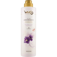 AMMORBIDENTE CONCENTRATO ELISIR ARMONIA VIOLA
