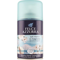 DEODORANTE AMBIENTE SPRAY AUTOMATICO ASSORTITO 250ML