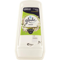 DEO AMBIENTYE GEL ASSORBIORDORI GEL MUGHETTO