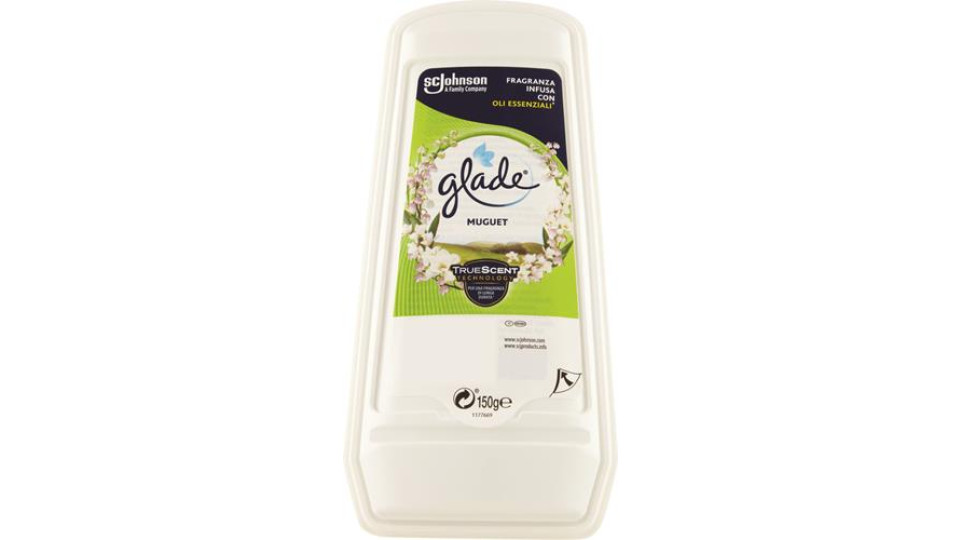 DEO AMBIENTYE GEL ASSORBIORDORI GEL MUGHETTO
