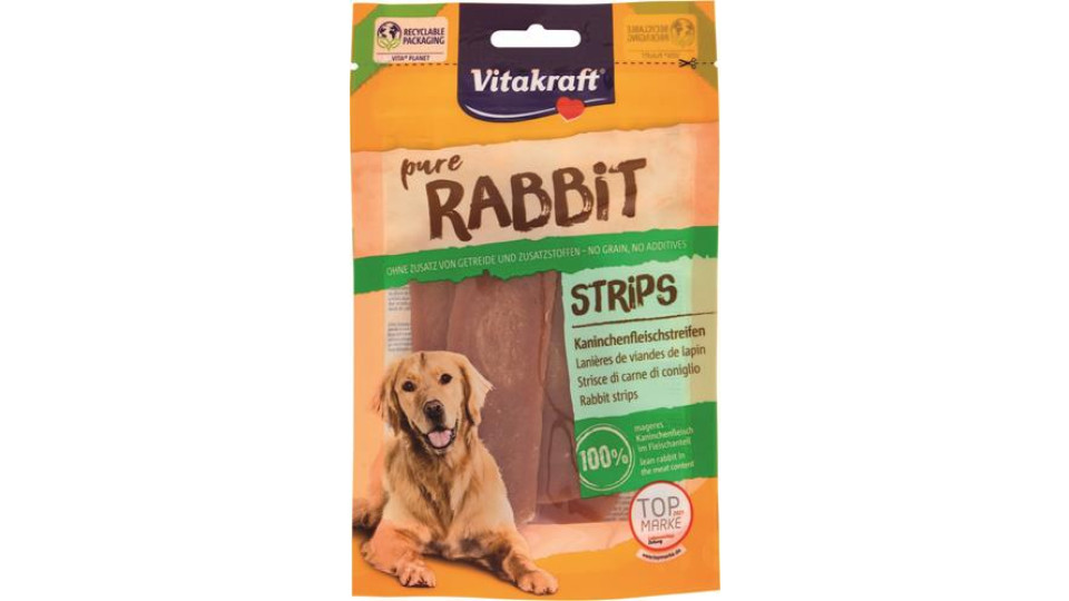 RABBIT STRISCE CONIGLIO