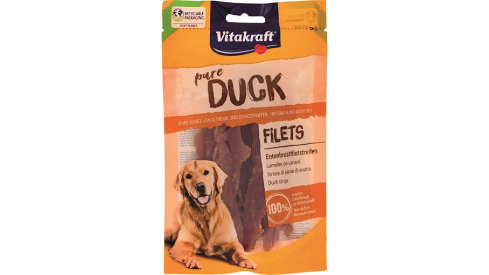 DUCK-STRISCE ANATRA
