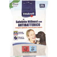 SALVIETTE DET ANTIBATT