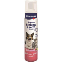SHAMPOO A SECCO SPRAY