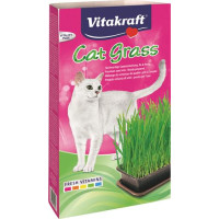 CAT-GRAS MISCELA SEMI