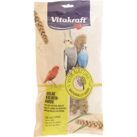 VITA NATURE SPIGHE DI PANICO