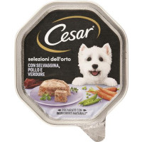 CESAR SELVAGG.POLLO