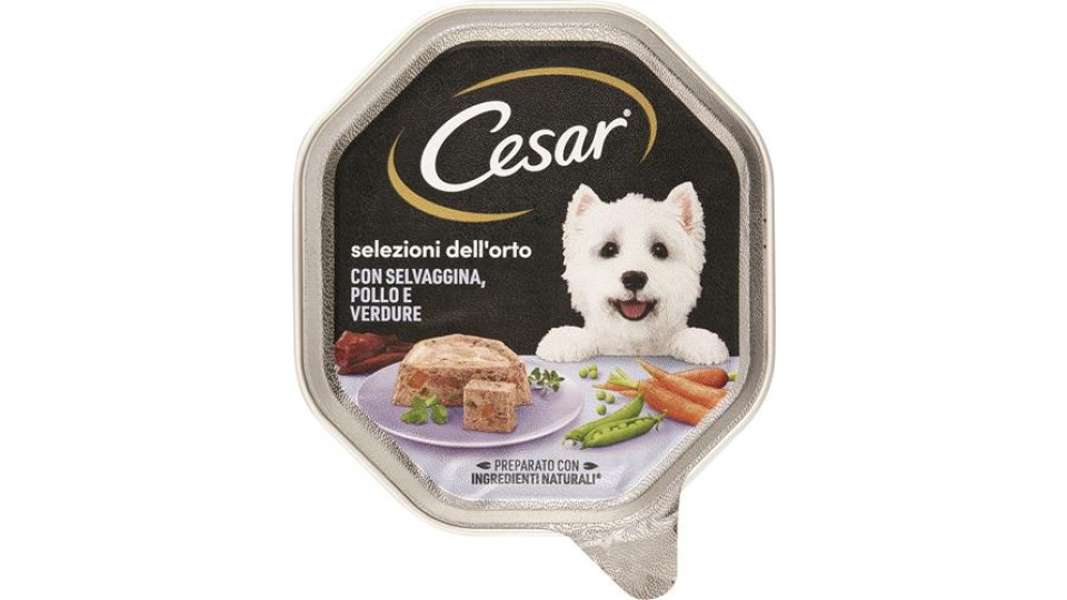 CESAR SELVAGG.POLLO