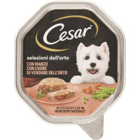CESAR CUOR.VERD.MANZO