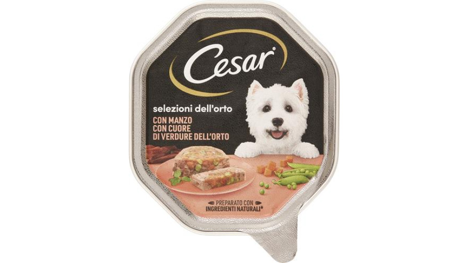 CESAR CUOR.VERD.MANZO