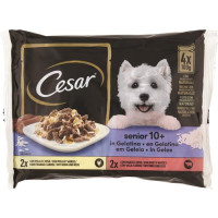 DELIZIE DEL GIORNO 4X100G SENIOR