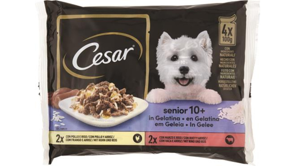 DELIZIE DEL GIORNO 4X100G SENIOR