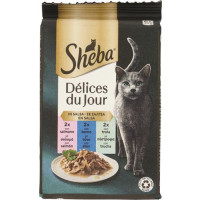 DELICE DU JOUR SALMONE TONNO TROTA SALSA 6X50G