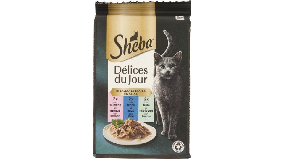 DELICE DU JOUR SALMONE TONNO TROTA SALSA 6X50G
