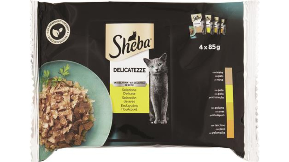 UMIDO GATTO DELICATEZZE POLLO G85X4