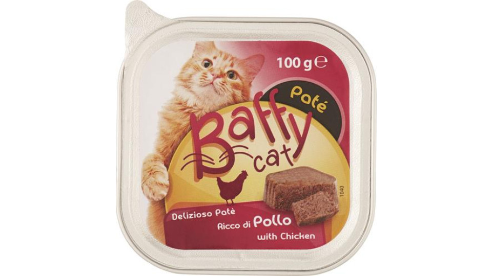 PATE' RICCO GATTO POLLO