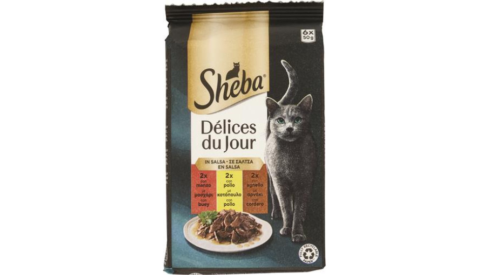 DELICE DU JOUR MANZO POLLO AGNELLO SALSA 6X50G
