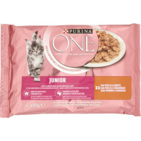 ONE BIFENSIS JUNIOR 4X85G POLLO
