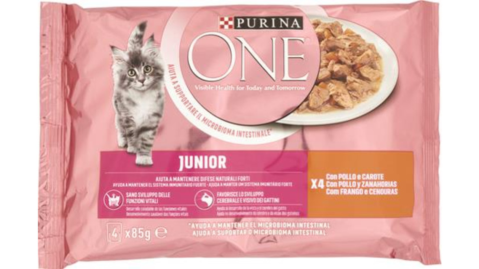 ONE BIFENSIS JUNIOR 4X85G POLLO