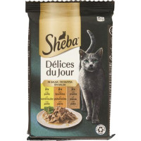 DELICE DU JOUR POLLO TACCHINO ANATRA SALSA 6X50G