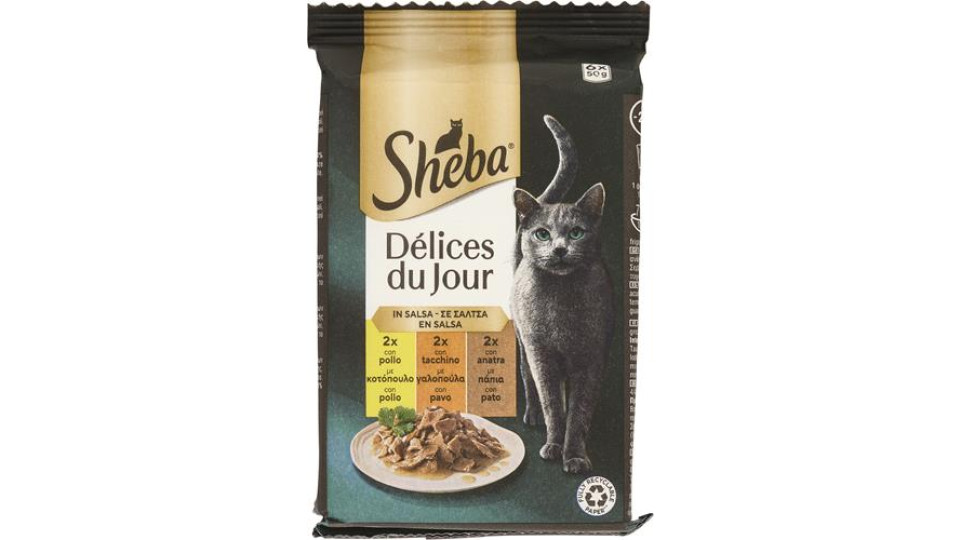 DELICE DU JOUR POLLO TACCHINO ANATRA SALSA 6X50G