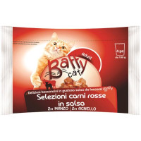 SELEZIONE CARNI ROSSE (MANZO-AGNELLO) IN SALSA 4XG100