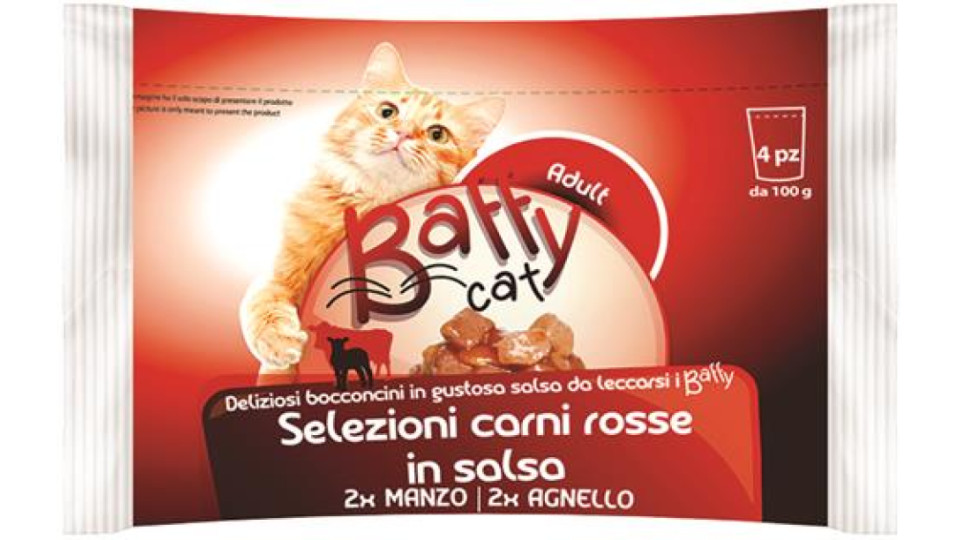 SELEZIONE CARNI ROSSE (MANZO-AGNELLO) IN SALSA 4XG100