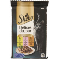 DELICE DU JOUR POLLO SALMONE TACCHINO SALSA 6X50G
